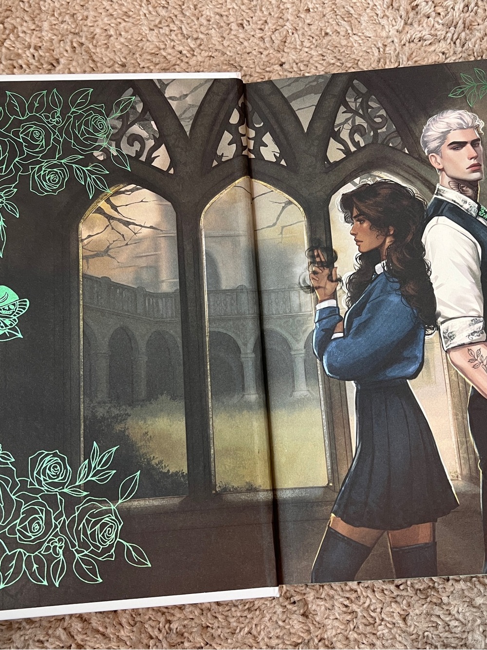Seven Deadly Thorns fairyloot special edition book by Amber Hamilton - Picture 5 of 7